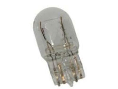 GMC 13591404 Signal Bulb