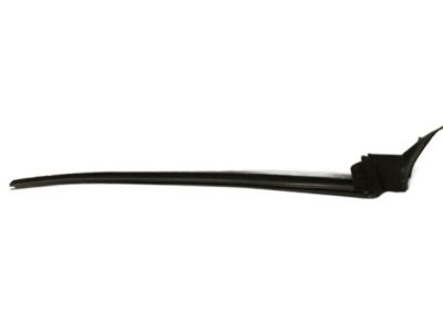 Chevy 92243319 Belt Weatherstrip