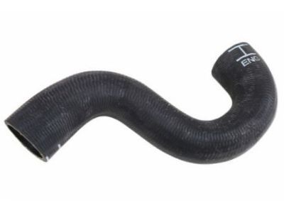 Chevy 95167691 Lower Hose