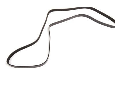 2012 Chevy Captiva Sport Drive Belt - 12653318