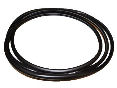 GMC 22815954 Sunroof Glass Seal