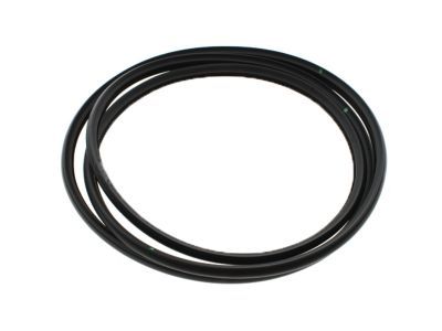 Cadillac 22815954 Weatherstrip