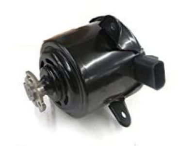 Buick Fan Motor - 89018690