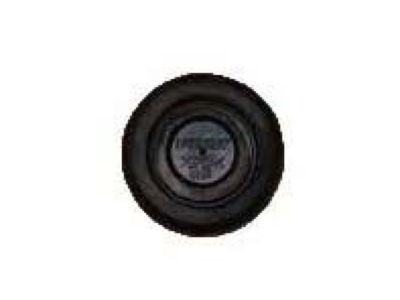 Chevy 94535987 PLUG,FRONT FLOOR PANEL HOLE(DIAMETER 40MM)(12.934)