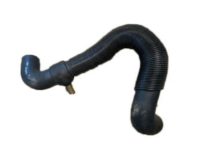 GMC 15683910 Lower Hose