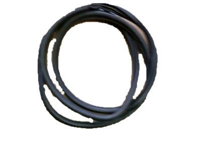 Buick 10272731 Weatherstrip