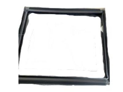 GM 25864381 Weatherstrip,Rear Sliding Window