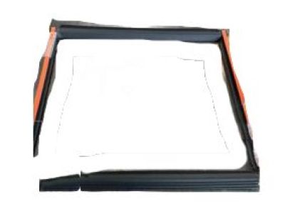 GM 25864381 Weatherstrip,Rear Sliding Window