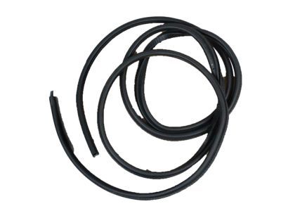 GMC 15063154 Weatherstrip