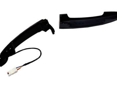 Chevy 13521820 Handle, Outside