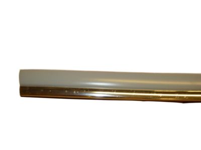 Cadillac 88960895 Molding