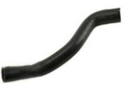 GMC 15989807 Lower Hose