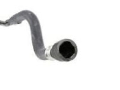 GMC 15989807 Lower Hose