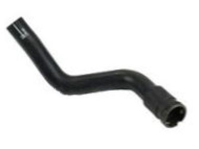 GMC 15989807 Lower Hose