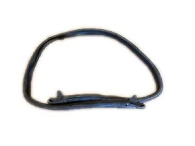 Pontiac Solstice Weather Strip - 25825371