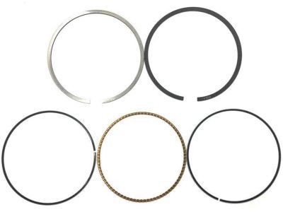 Chevy Captiva Sport Piston Ring - 12631194