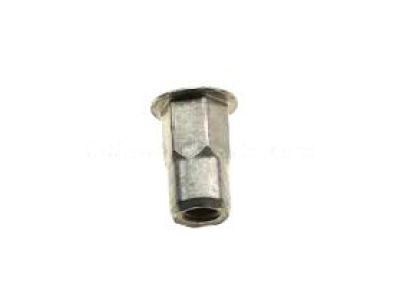 Chevy 11609317 Front Panel Nut