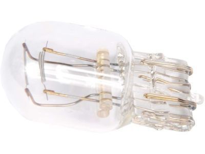 GMC 13591403 Tail Lamp Bulb