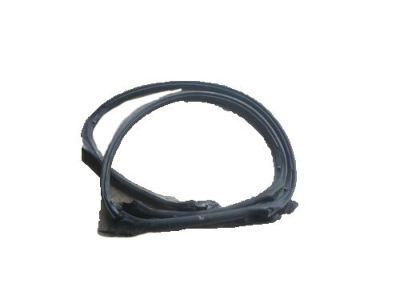 Pontiac Solstice Weather Strip - 25997472