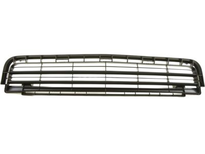 GM 88975656 Grille,Radiator Lower *Black