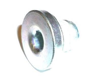 GM 11588547 Plug,Cyl Head Oil Gallery