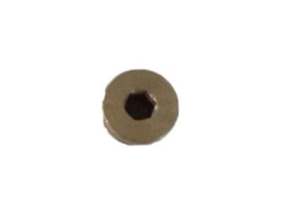 Chevy 25509274 PLUG (1988-1991)