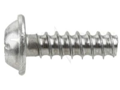 Chevy 9202831 Fog Lamp Assembly Screw