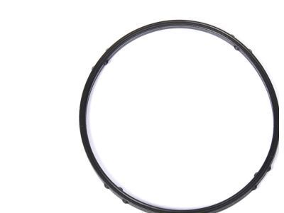 Saturn Vue Thermostat Gasket - 24447061