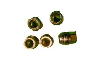 Buick 10091792 Wheel Nut