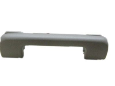 Chevy Trailblazer EXT Door Handle - 15269142