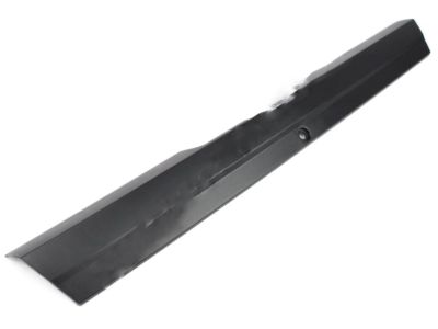 GM 20835977 Weatherstrip, Rear Side Door Lower Auxiliary