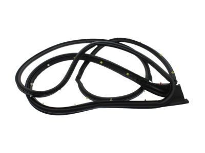 Chevy 23286279 Door Weatherstrip