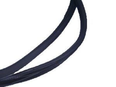 Cadillac 15922955 Door Weatherstrip