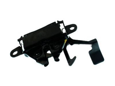 GM 88972905 Latch,Hood Primary & Secondary