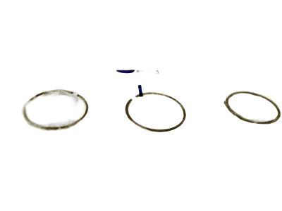 Chevy Cruze Piston Ring - 55588455