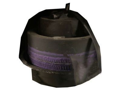 Chevy 15837581 Cushion