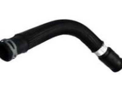 Chevy 22682505 Lower Hose