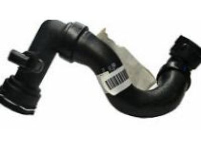 Chevy 22682505 Lower Hose