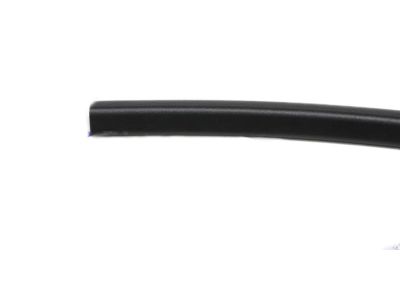 Chevy Door Seal - 25911905