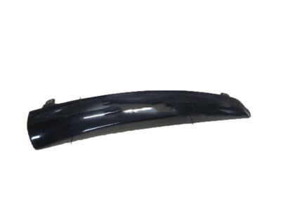 Chevy 15895308 Side Molding