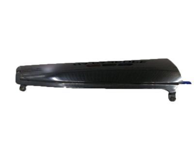 Chevy 15895308 Side Molding