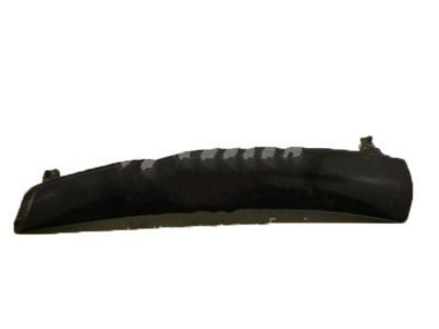 Chevy 15895308 Side Molding