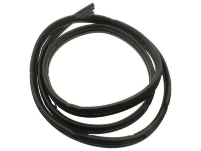 Chevy 19168172 Surround Weatherstrip