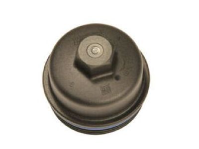 Pontiac 55593189 Filter Cover