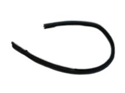 Pontiac 25854095 Inner Weatherstrip