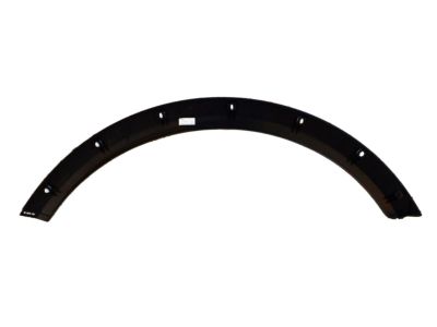 Chevy 96660221 Wheel Opening Molding