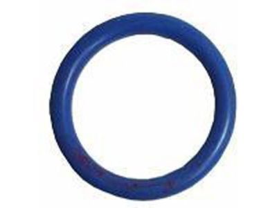 Pontiac 12557752 Oil Tube Seal