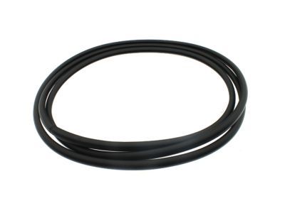 Hummer Weather Strip - 15242781