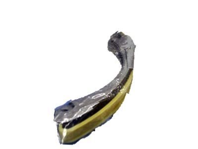 GMC 12575159 Chain Guide