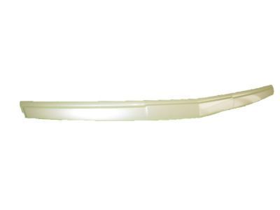 Cadillac 22956470 Front Molding